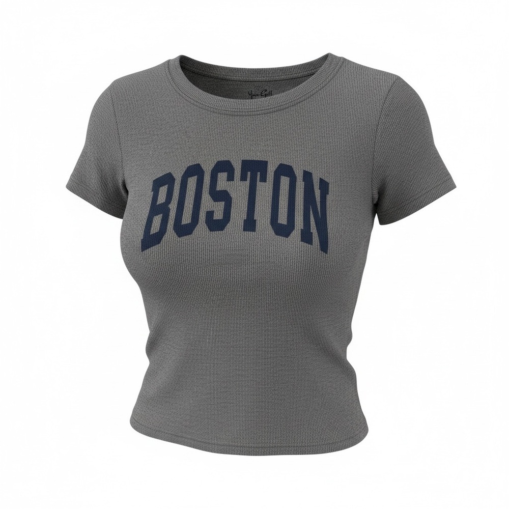 Brandy Melville Gray Boston Tee